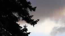 Ураганен вятър нанесе тежки щети в село Меден кладенец рано сутринта