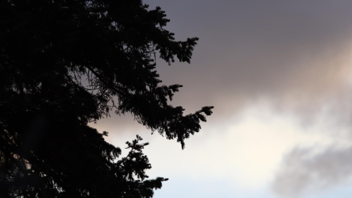 Ураганен вятър нанесе тежки щети в село Меден кладенец рано сутринта