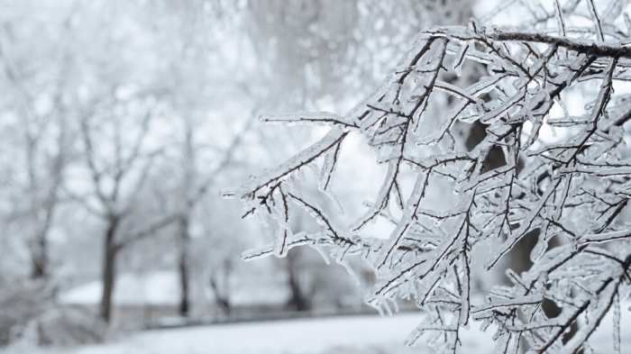Седмицата започва с мраз и слънце, по-късно идват валежи в цялата страна