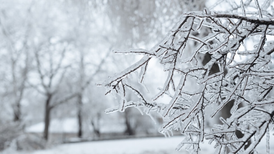 Седмицата започва с силен студ, най-ниските температури са в Северна България днес