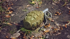 Арест след взрив с граната в дома на Здравко Чолич в Белград