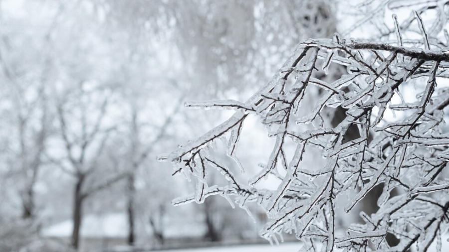 Зимата се връща със сняг и силен вятър