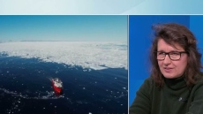 Вера Коцева се завърна от Антарктика с нов фоторазказ