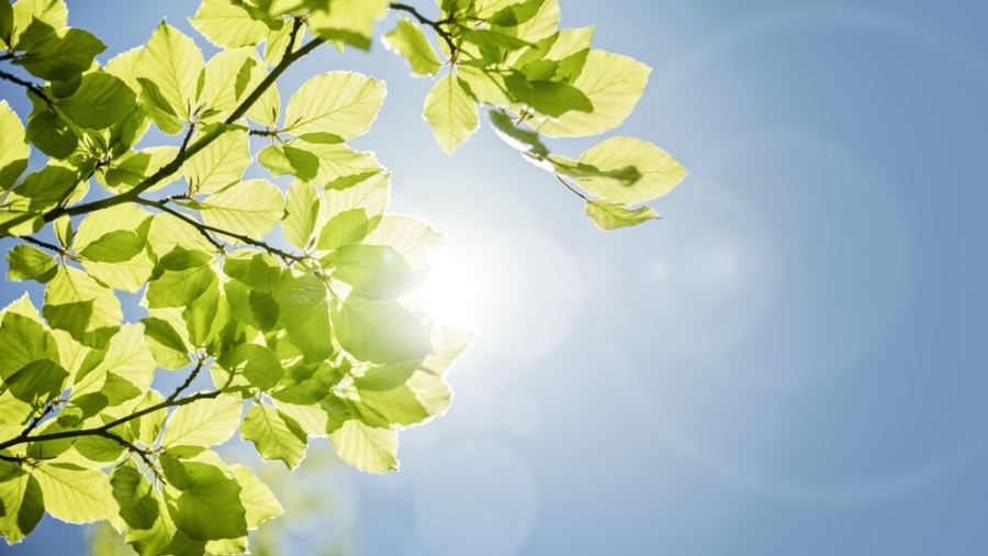 Слънчев уикенд с температури до 16 градуса