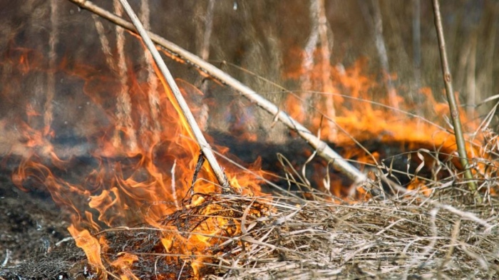 Пожар изпепели над 180 декара край троянското село Черни Осъм