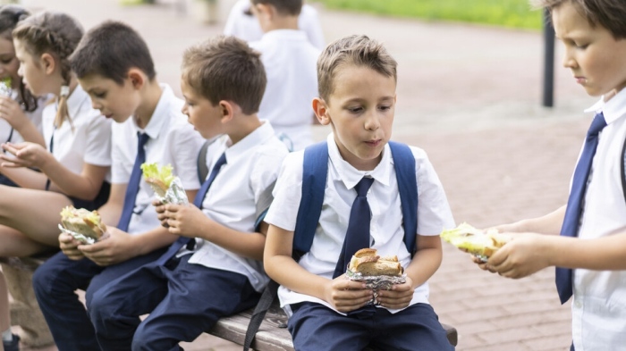 Бактерии и плесени откриха в училищни сандвичи при проверка на БАБХ