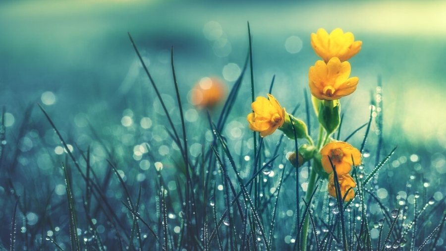 Дъжд и гръмотевици до Цветница, риск от наводнения