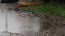 Жители на квартал Пинета в Добрич излязоха на протест