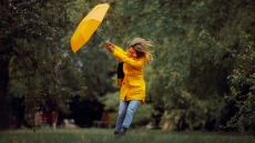 Жълт код за силен вятър в цялата страна