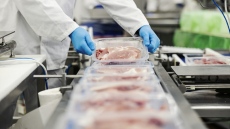 БАБХ откри опасни храни в обекти, свързани с лица с имунитет