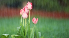 Облаци и кратки валежи в деня за размисъл