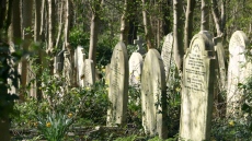 Откриха телата на 50 бебета в гробище в Тринидад