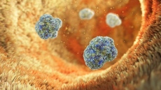 Ново огнище на бруцелоза във ферма в Симитли