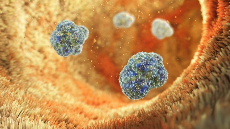 Ново огнище на бруцелоза във ферма в Симитли