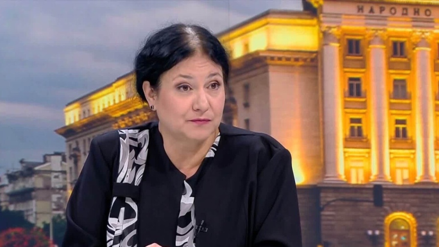 Ивилина Алексиева: Изборният кодекс има пропуск за състава на ЦИК