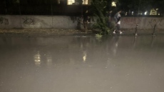 Бурята в Пловдив събори дървета и наводни улици