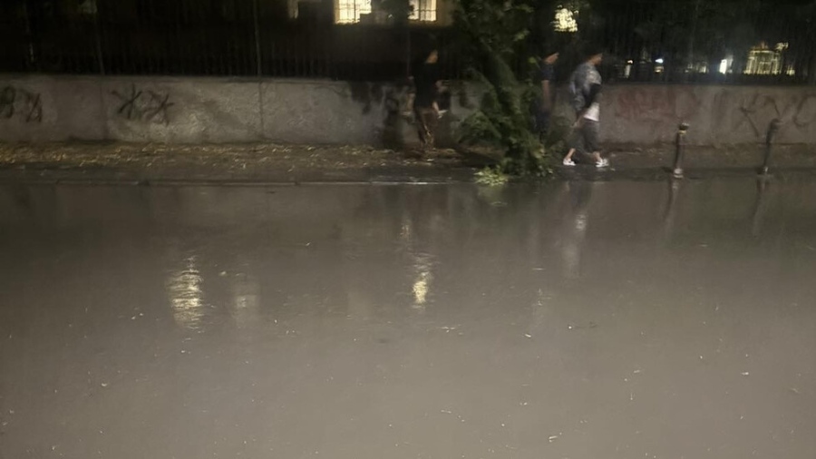 Бурята в Пловдив събори дървета и наводни улици