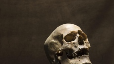 Откритие в Китай свърза Homo erectus със съвременните хора