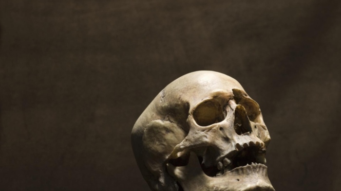 Откритие в Китай свърза Homo erectus със съвременните хора